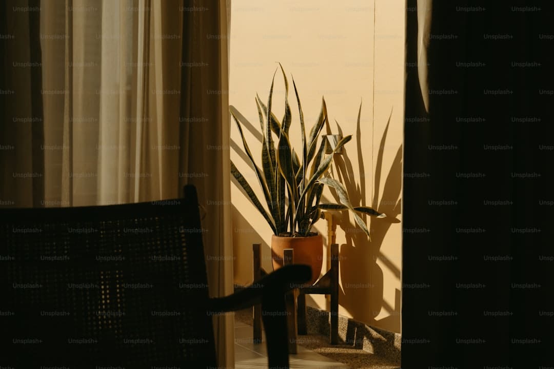 《SEVENTEEN [RIGHT HERE] WORLD TOUR IN CINEMA》将于2日在CGV独家上映_